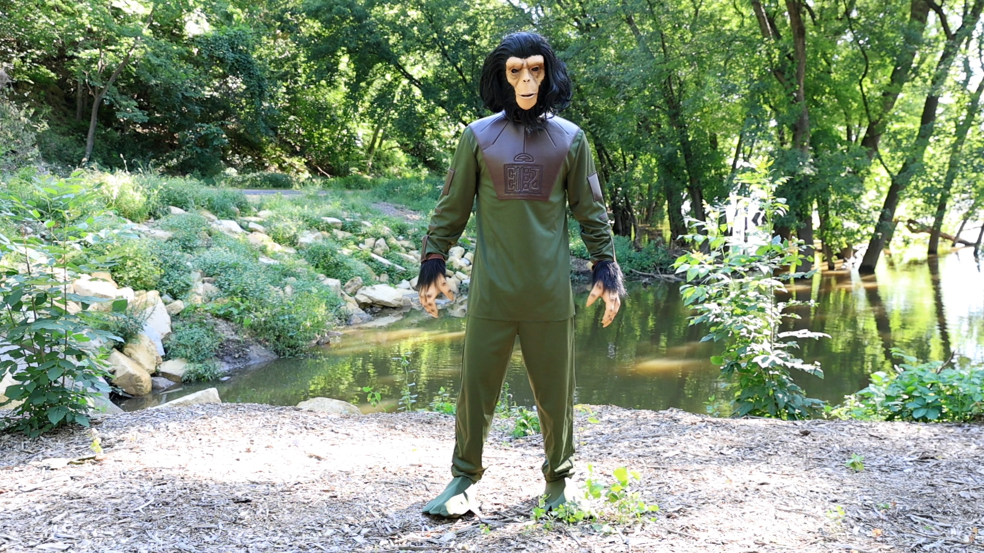 FUN94703AD Dr. Cornelius